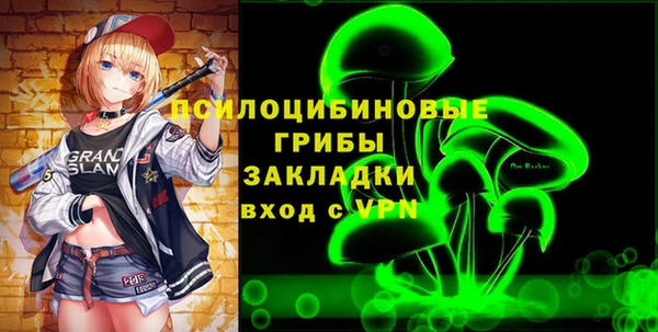 гидра Вязники