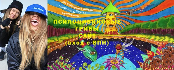 гидра Вязники