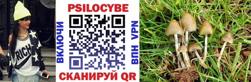 Псилоцибиновые грибы Cubensis  где можно купить наркотик  Челябинск 