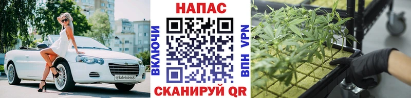 Марихуана THC 21%  где купить наркотик  hydra как войти  Челябинск 